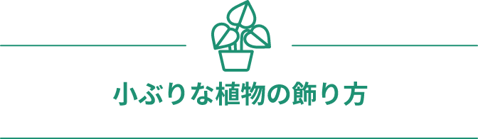 小ぶりな植物の飾り方