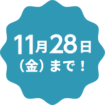 11月28日(金)まで！