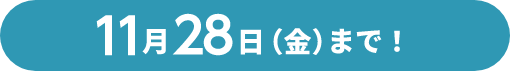 11月28日(金)まで！