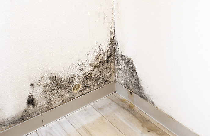 結露が原因で劣化した壁