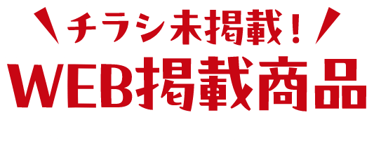 チラシ未掲載！WEB掲載商品 ※各カテゴリーページにも掲載があります。
